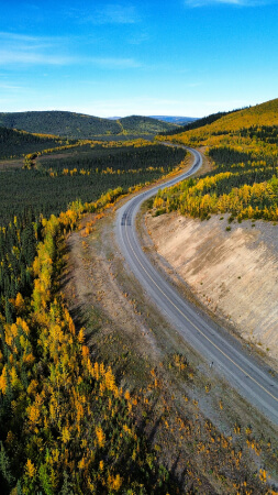Yukon Forest Winding Road